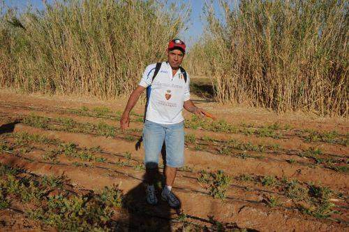 SAHARA MARATHON  2011
